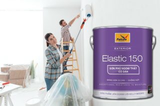 Falcon ext elastic 150 – Loại sơn phủ co giãn chất lượng tốt, giá rẻ